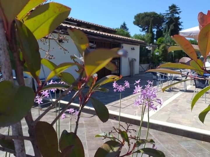 Borgo Nicoletta Case Per Le Vacanze Filandari 외부 사진